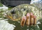 Texas Fish Art Contest Unveils 2024 Winners