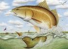 Texas Fish Art Contest Unveils 2024 Winners