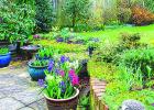 The Basics of Container Gardening